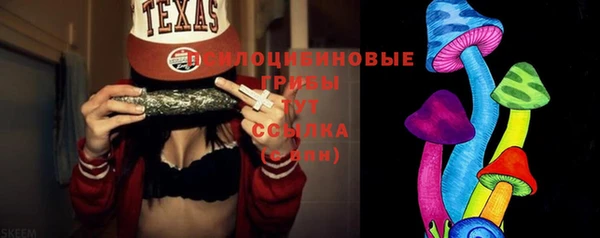 индика Балабаново