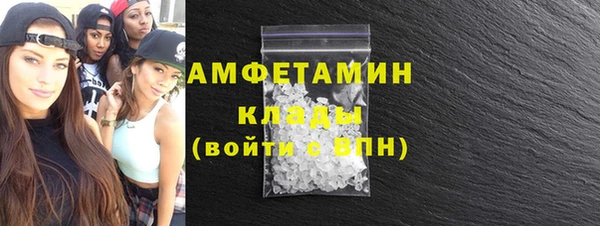 индика Балабаново