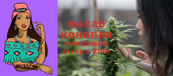 индика Балабаново