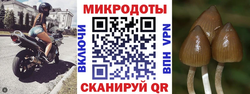 Галлюциногенные грибы мицелий  Купить закладки  Мелеуз 